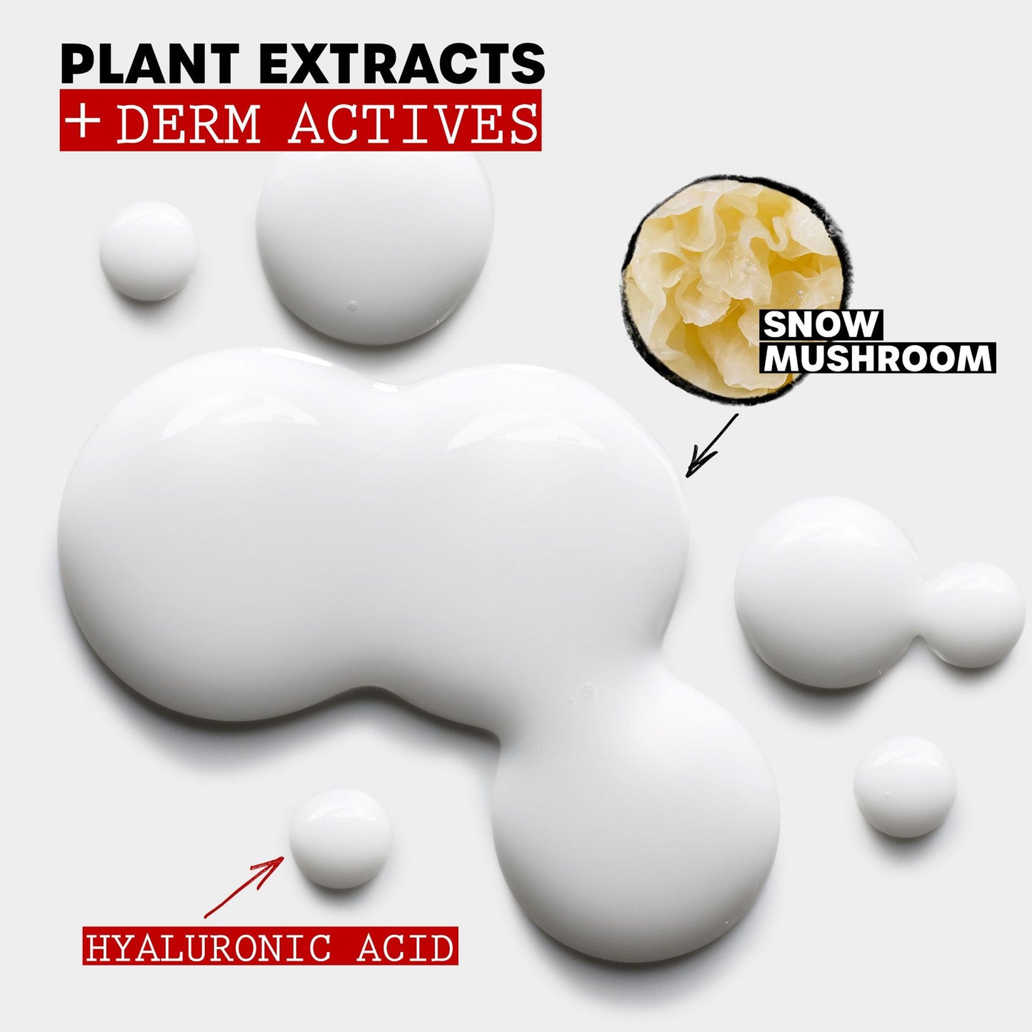 Product display with snow mushroom and hyaluronic acid labeled on a white background