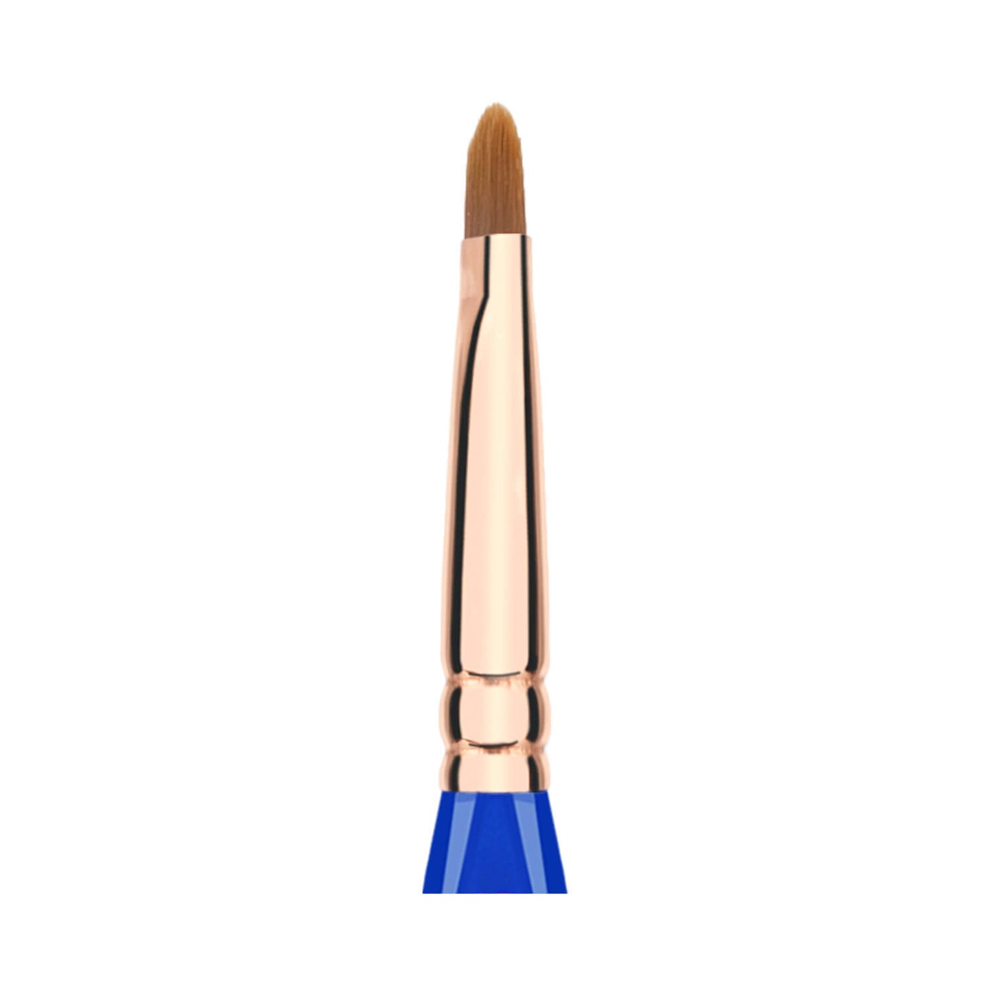 BDellium Tools Golden Triangle 542 Bold Lip Brush