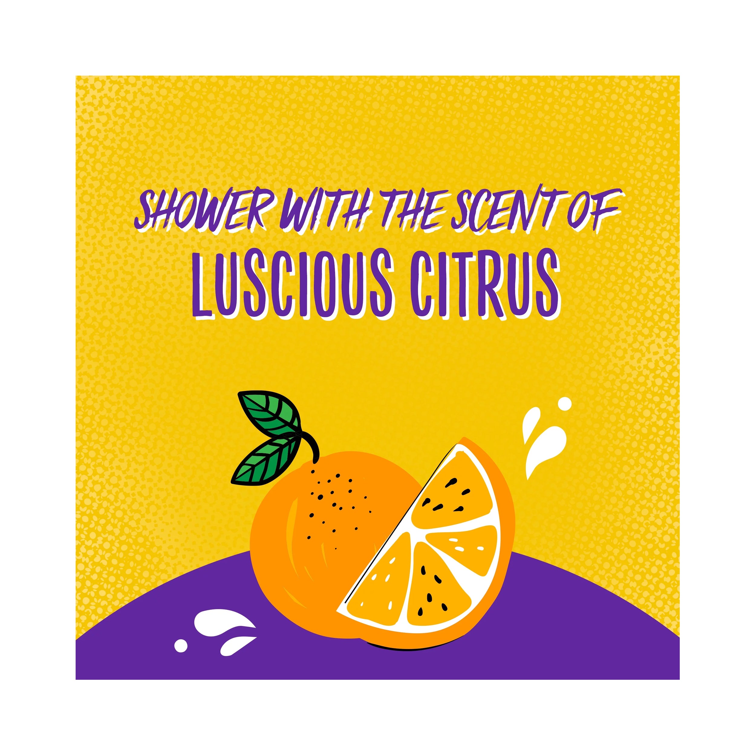 Aussie Miracle Curls Conditioner with Coconut Jojoba Oil 360 mL