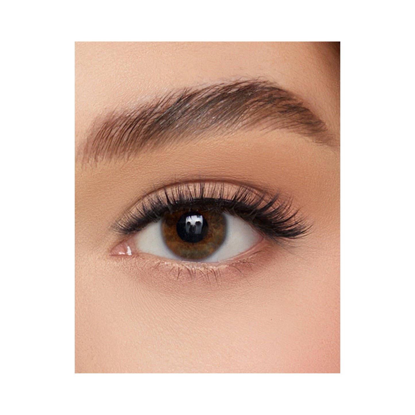 Lilly Lashes Click Magnetic Lashes 4Ever
