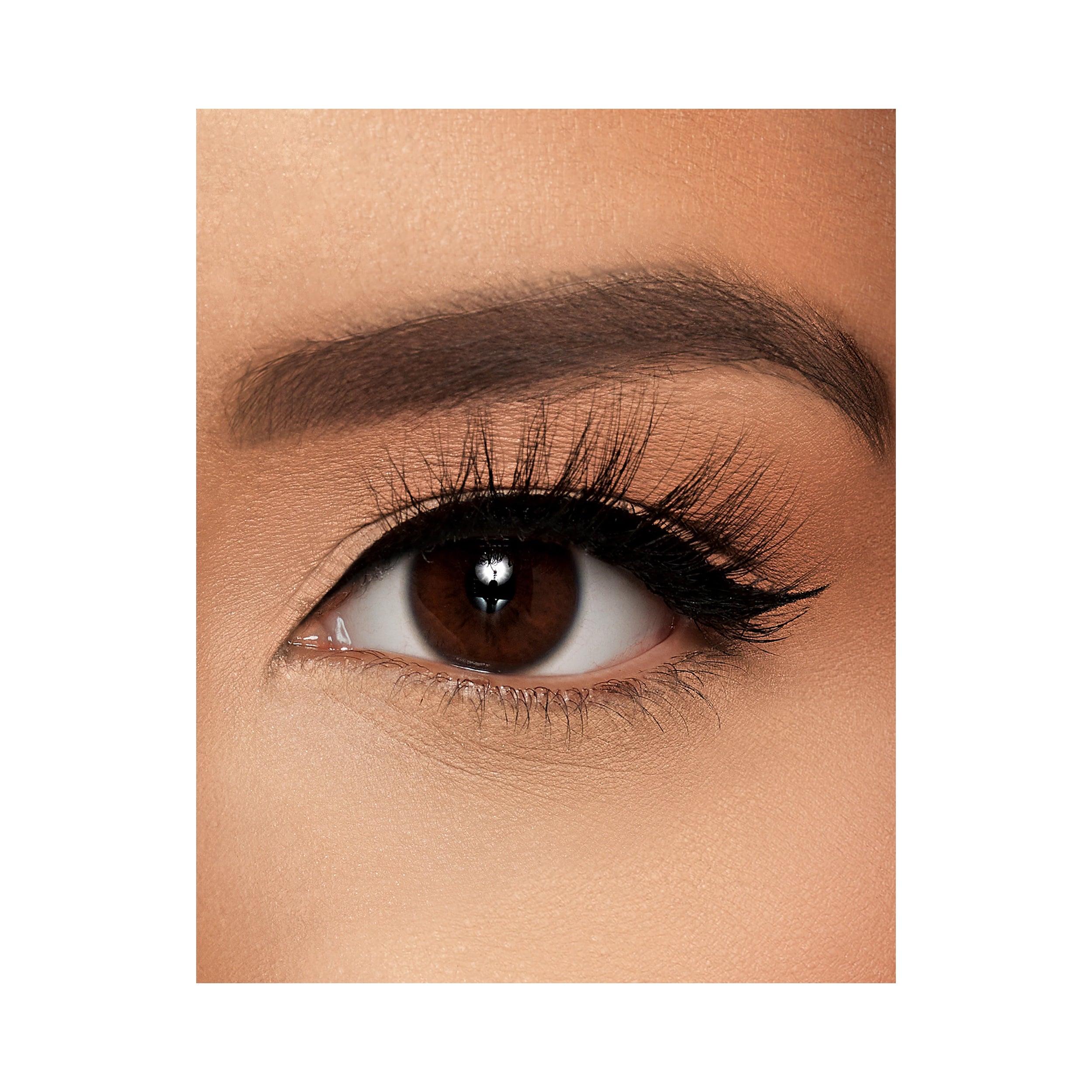 Lilly Lashes Click Magnetic Lashes For Life