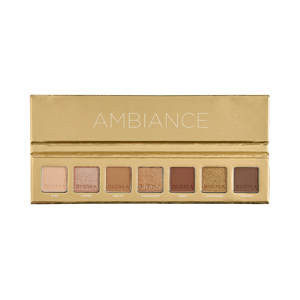 Sigma Beauty Mini Nude Essentials Eyeshadow Palette Set Ambiance