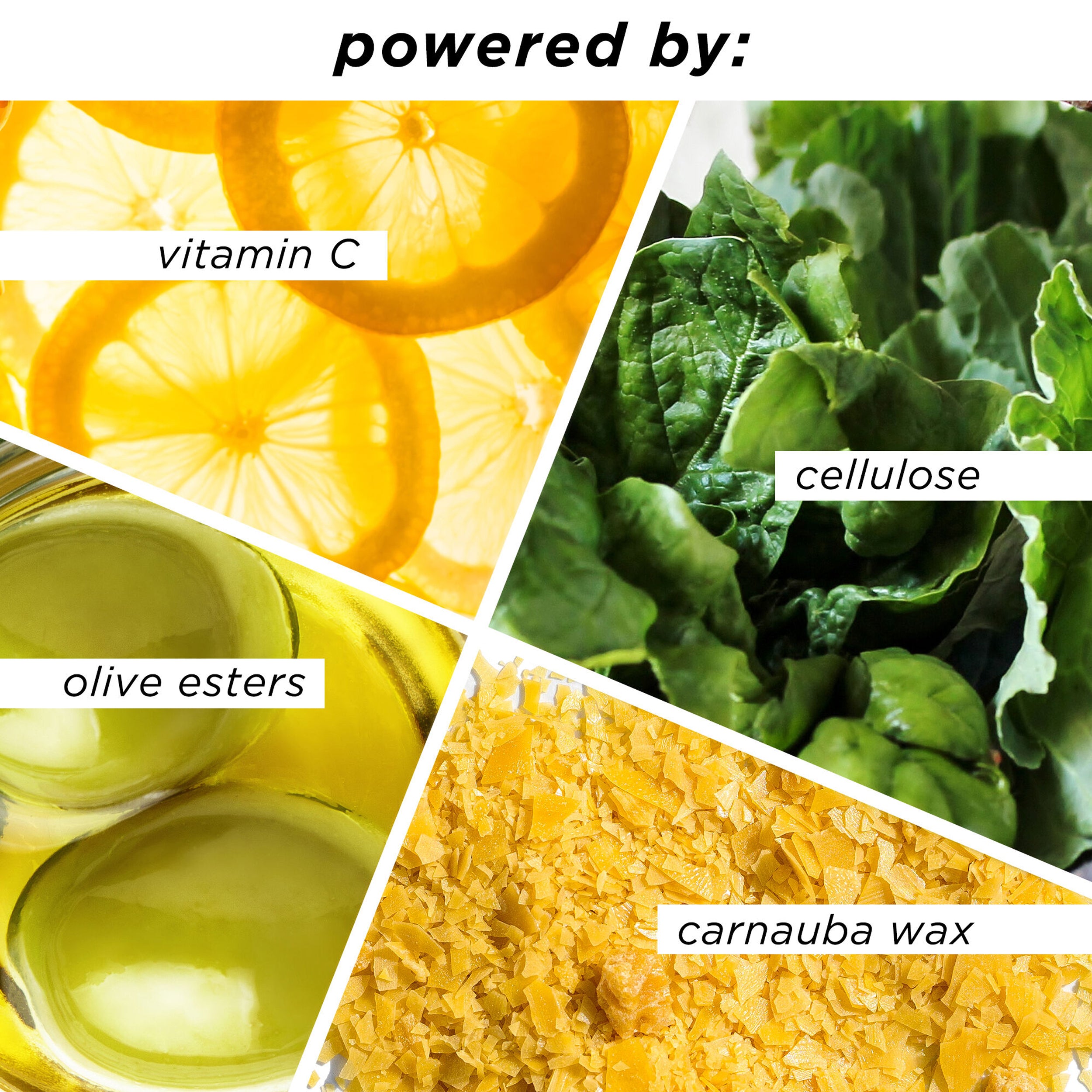 Tarte Cosmetics Opening Act Lash Primer