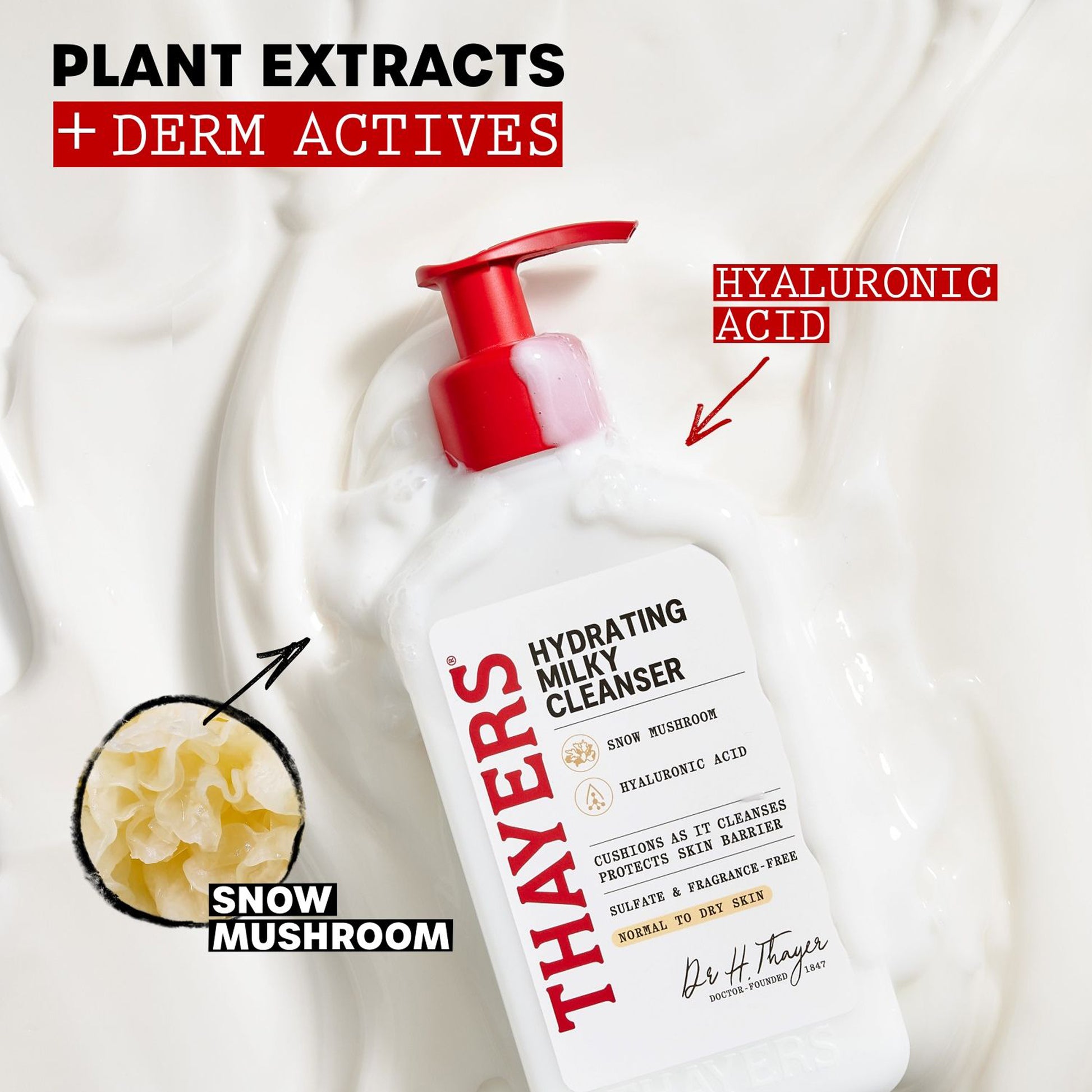 Thayers Hydrating Milky Cleanser bottle with plant extracts and derm actives on a white background