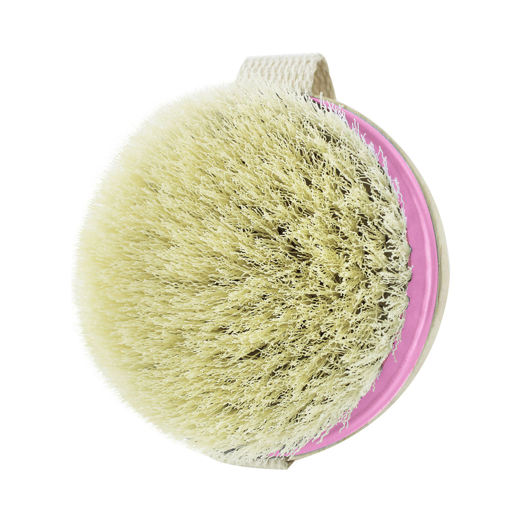 EcoTools Dry Body Brush