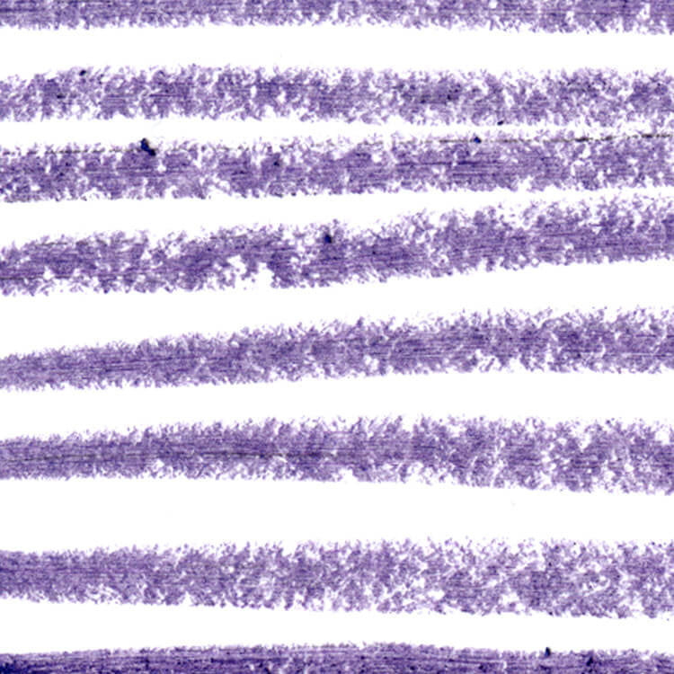 Sigma Beauty Extended Wear Eye Liner Kit Cool