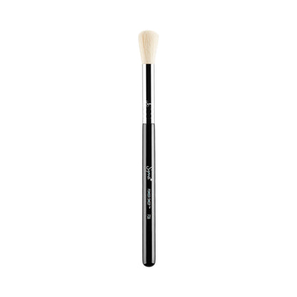 Sigma Beauty F06 Powder Sweep