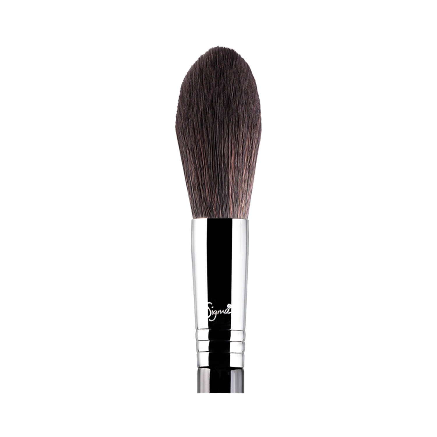 Sigma Beauty F37 Spotlight Duster Head Chrome