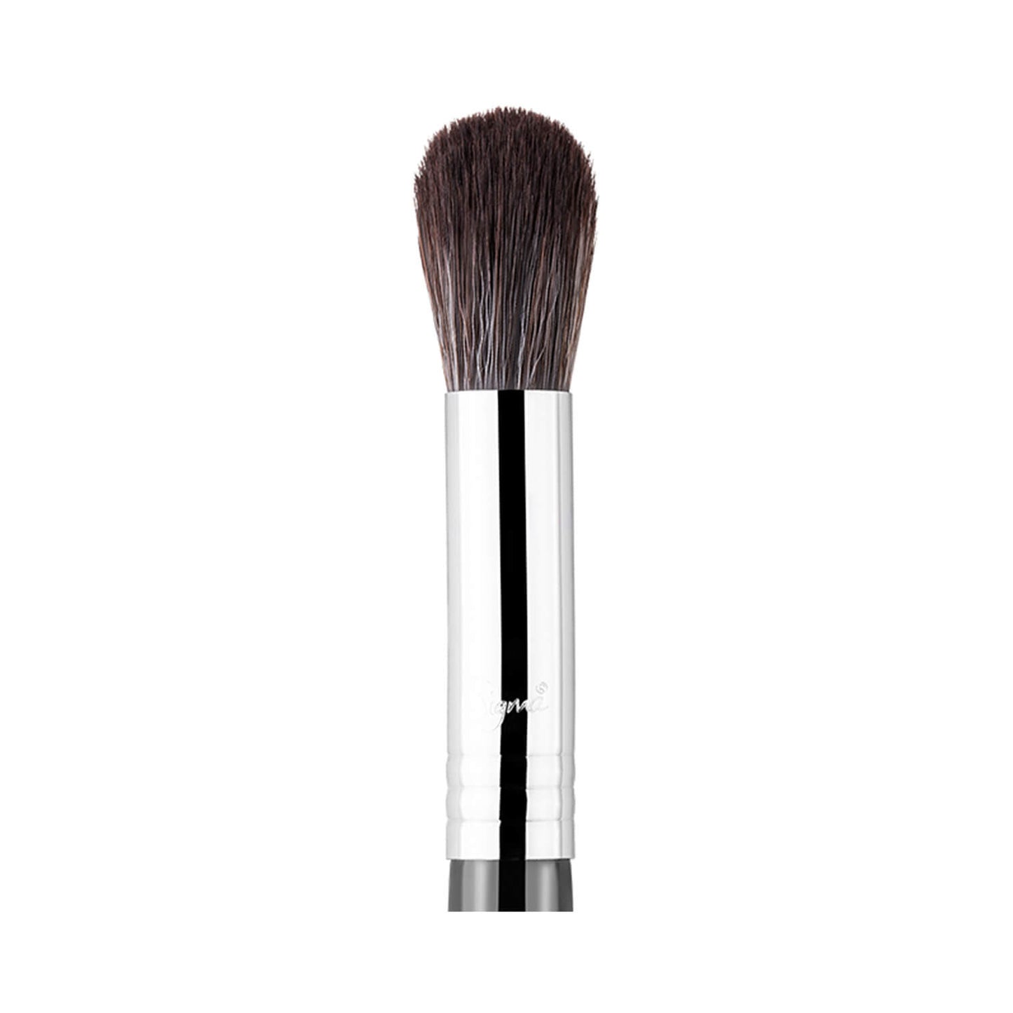 Sigma Beauty F64 Soft Blend Concealer Brush