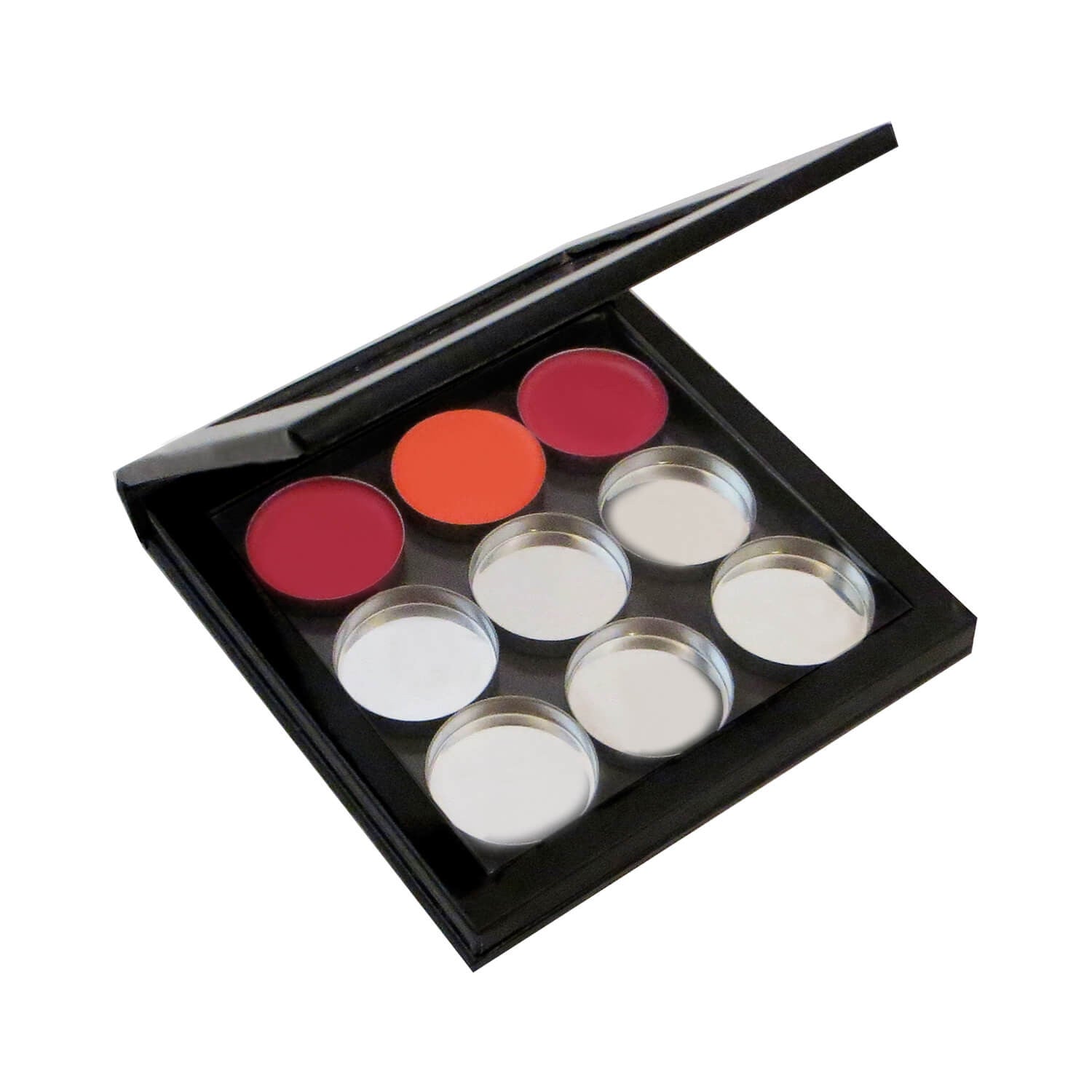 Z-palette Round Empty Metal Pans Full